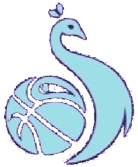 Pucela Basket